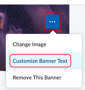 Customize banner text