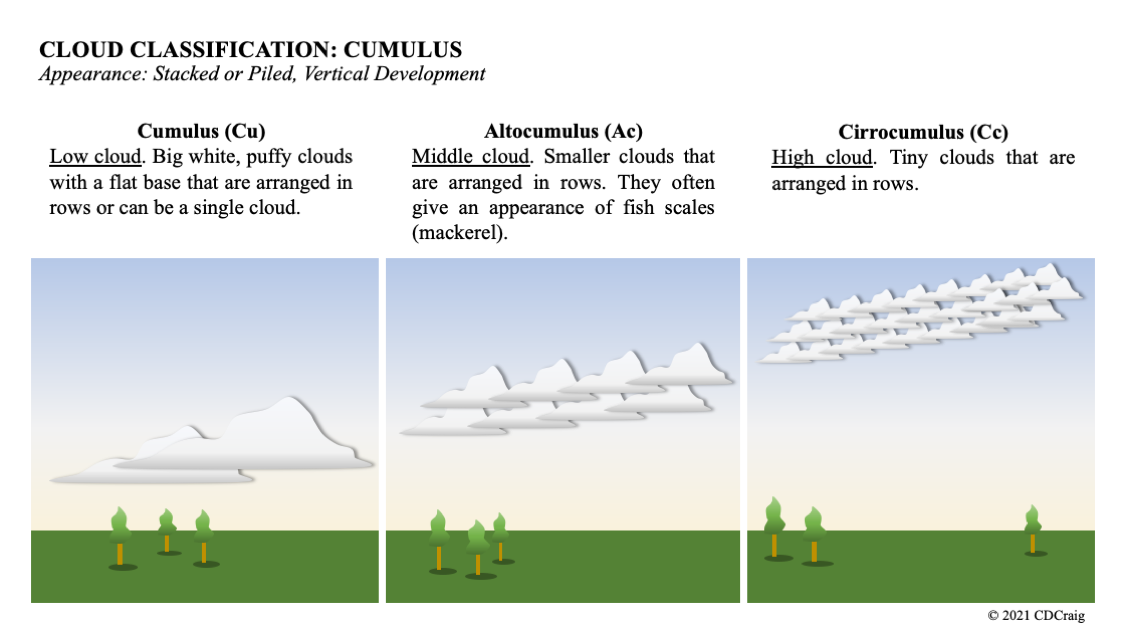 CDCraig-Cumulus Clouds