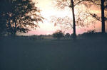 Sunset over the golf course