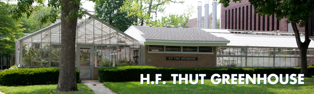 EIU Thut Greenhouse EIU Thut Greenhouse