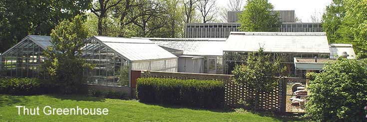 EIU Thut Greenhouse EIU Thut Greenhouse