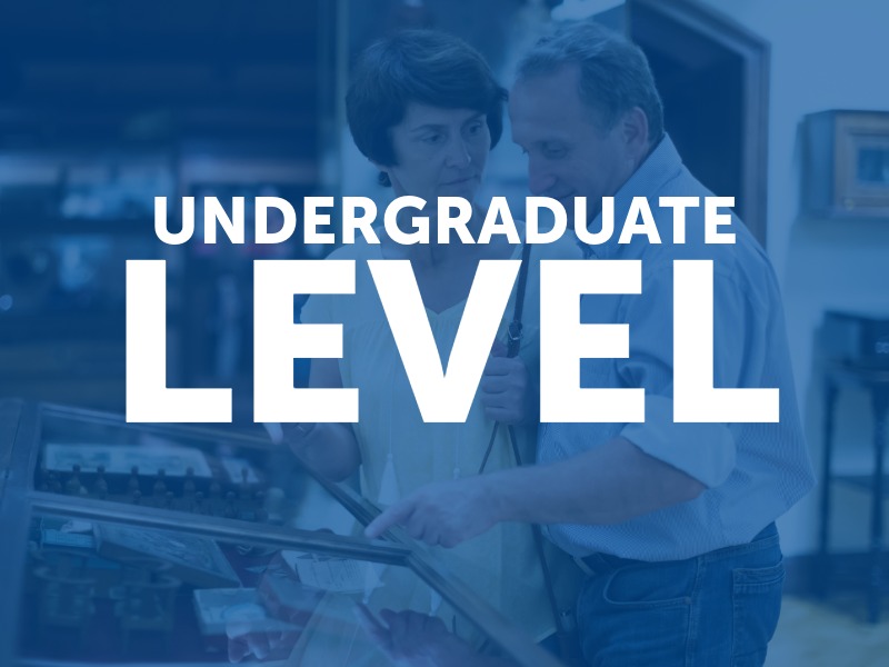 Undergraduate Level