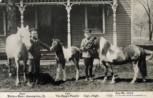 image of front of postcard