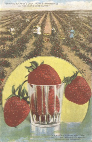 image of front of postcard