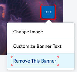 Remove this Banner