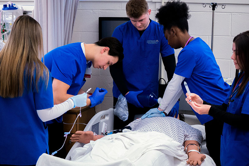 College of Health and Human Services Fund