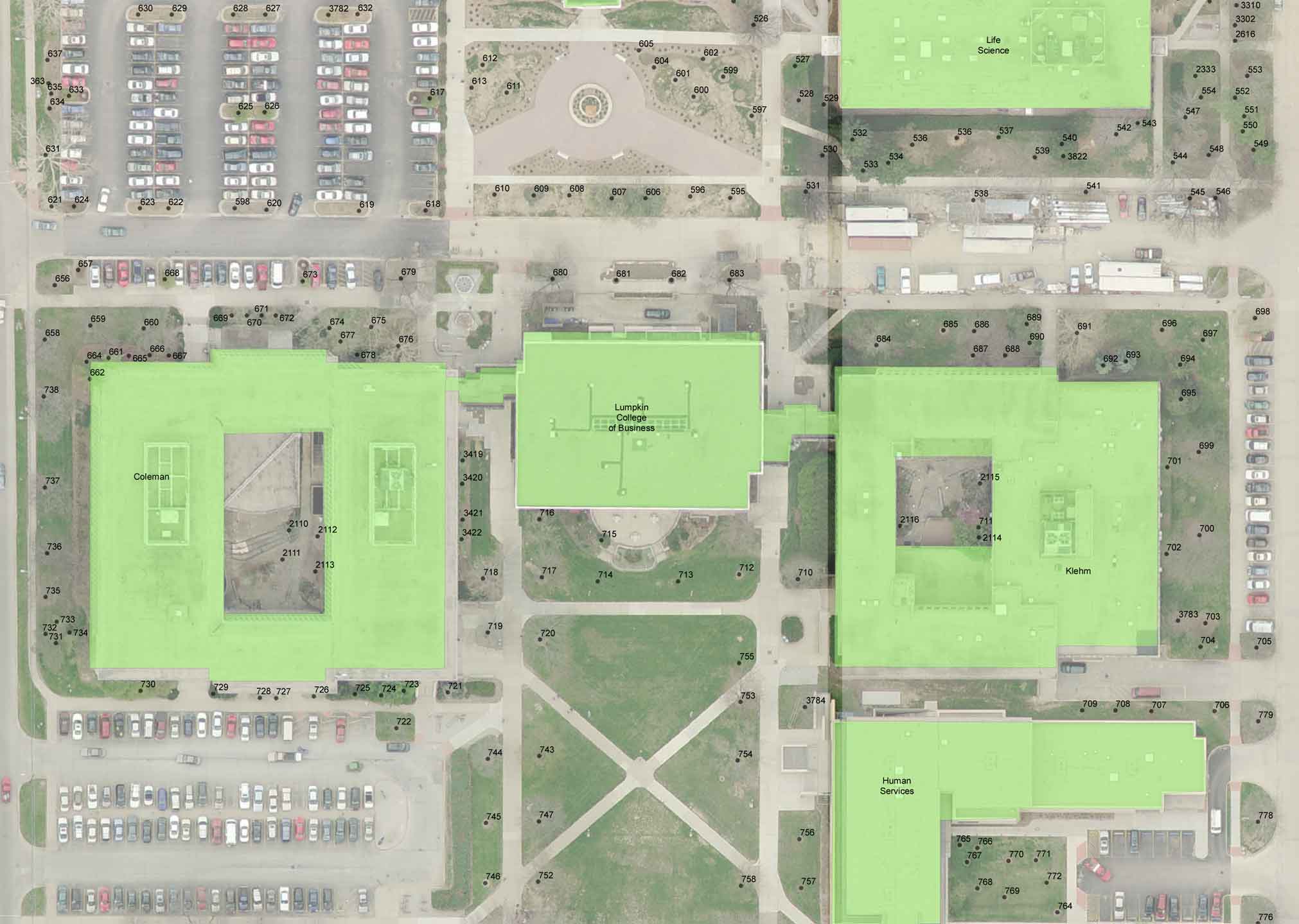 Eastern Illinois University H.F. Thut Greenhouse Campus Tree