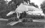 Greenhouse, 1903
