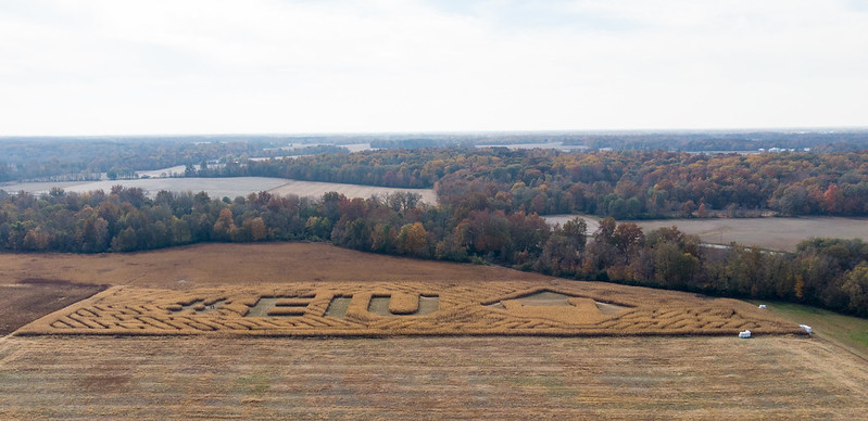 eiu mowed into cornfields