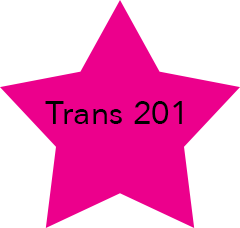 Trans201