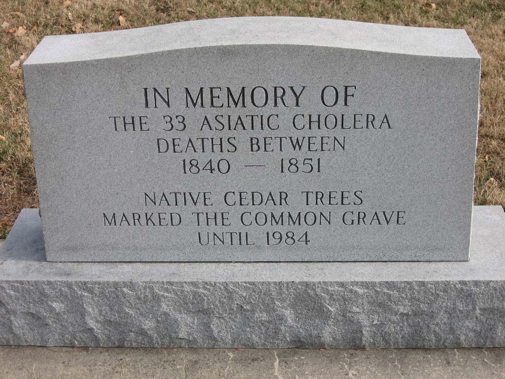 asiatic cholera 2