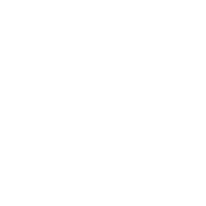 EXPLORE ALL THE OPTIONS Icon