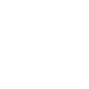 HEALTH & HEALTHCARE CAREERS Icon