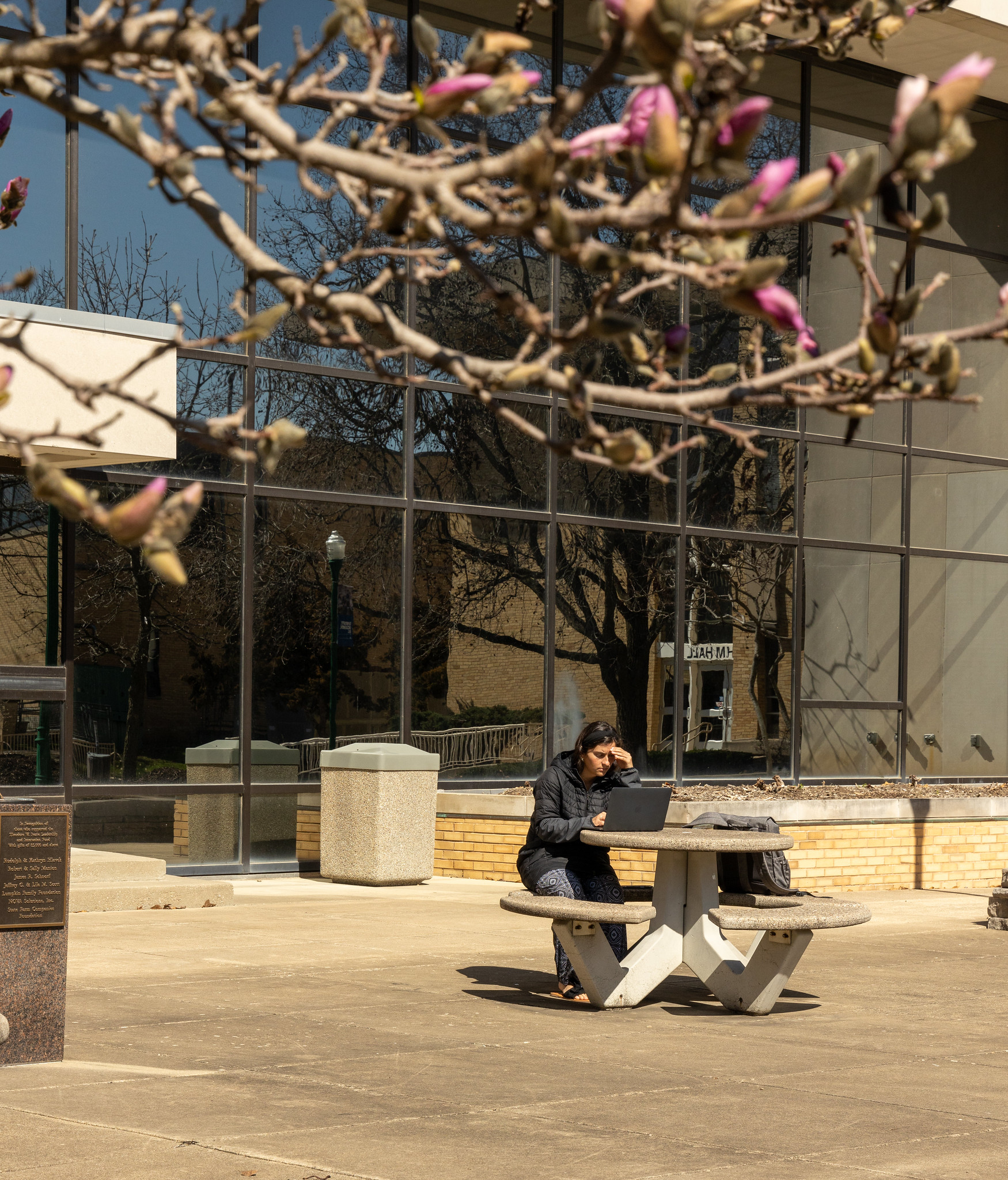 student studying outside