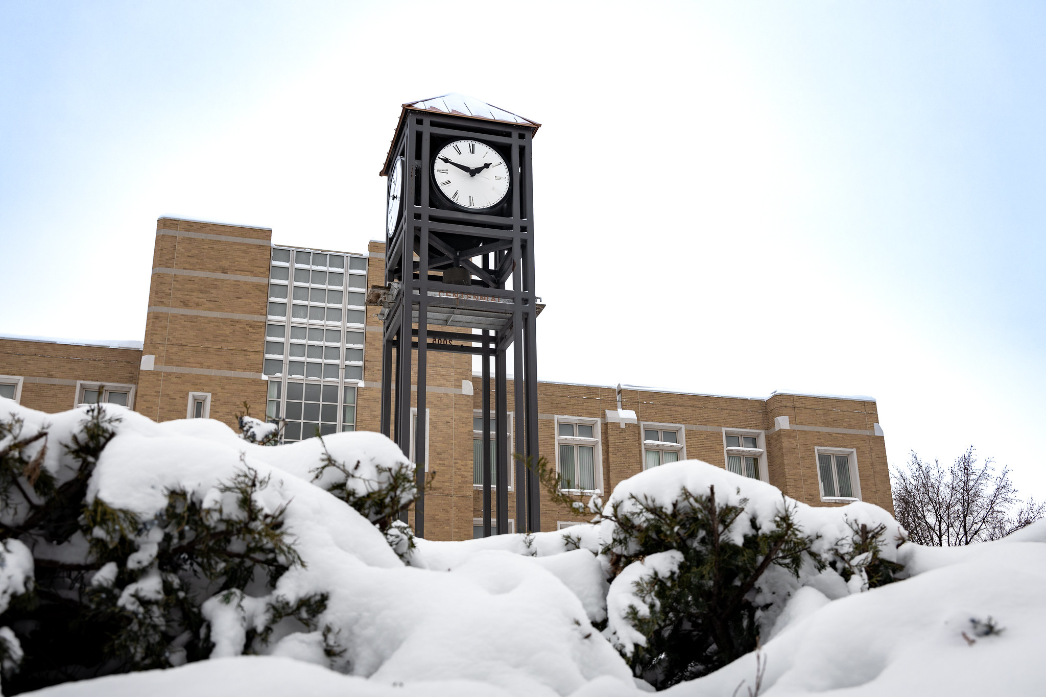 library with snowfall