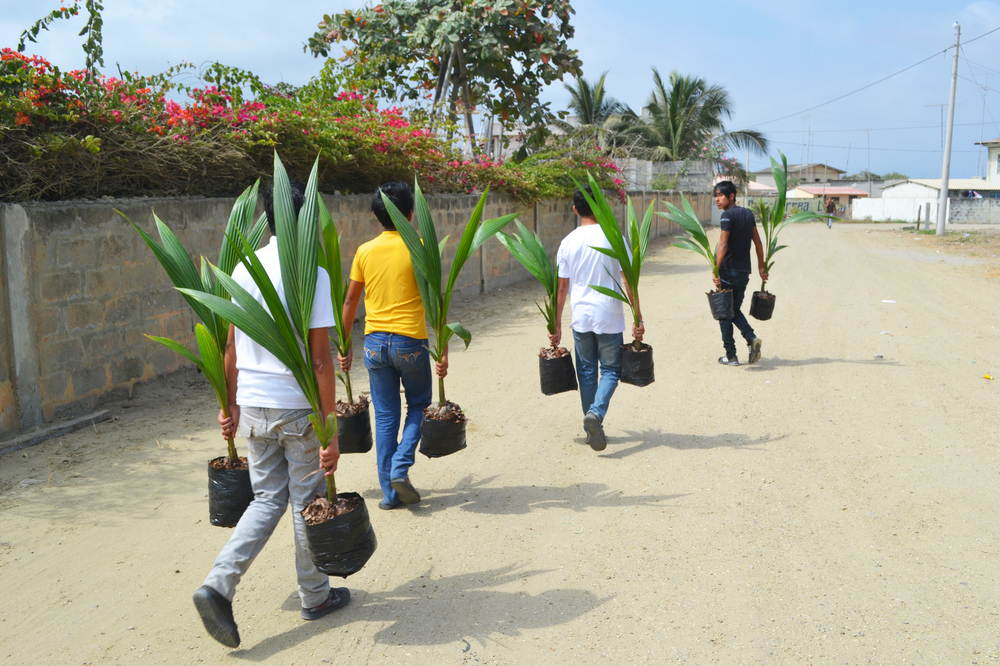 young men carrying plants