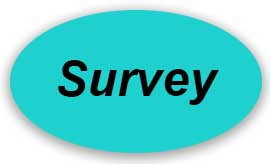 survey
