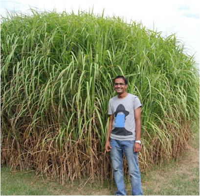 Sunil_Thapa_with_Miscanthus