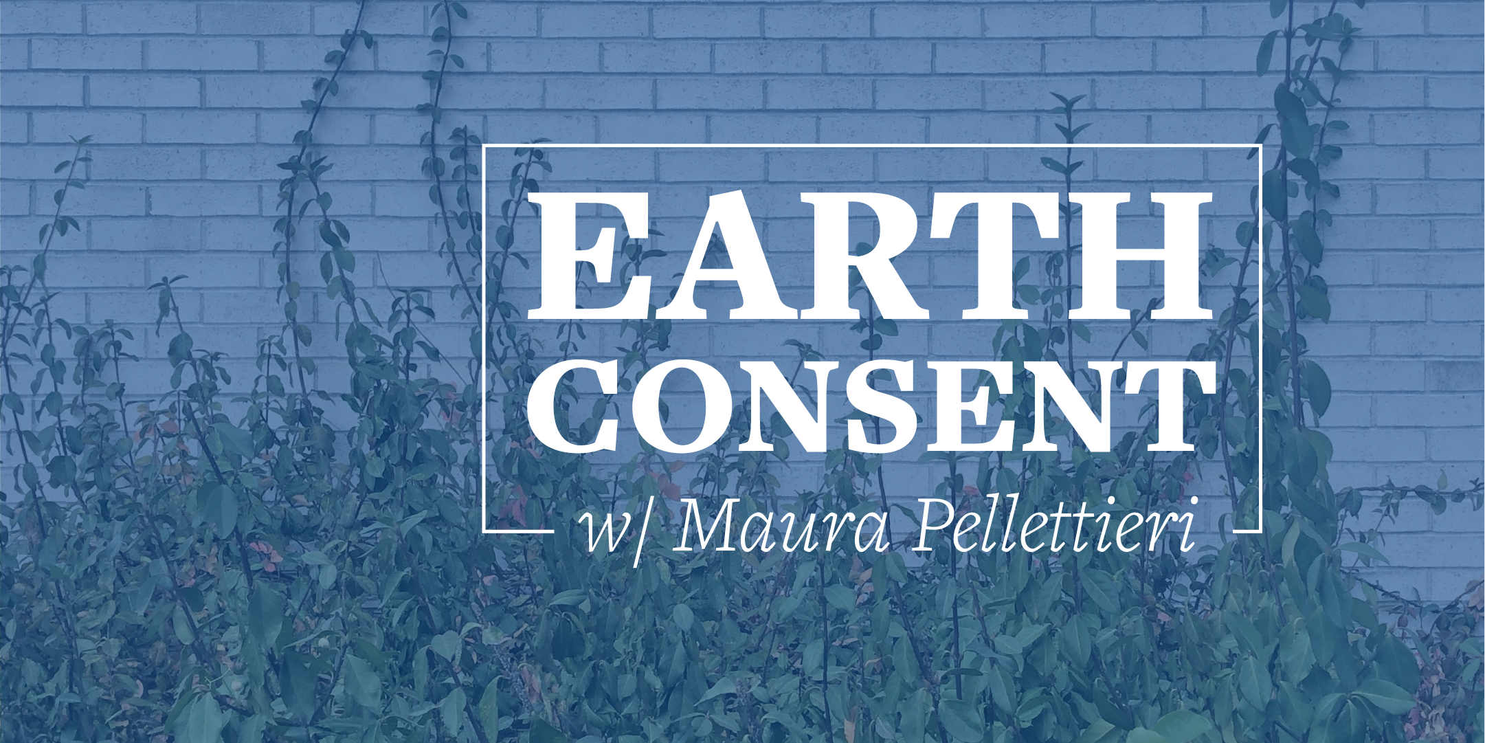 Earth Consent