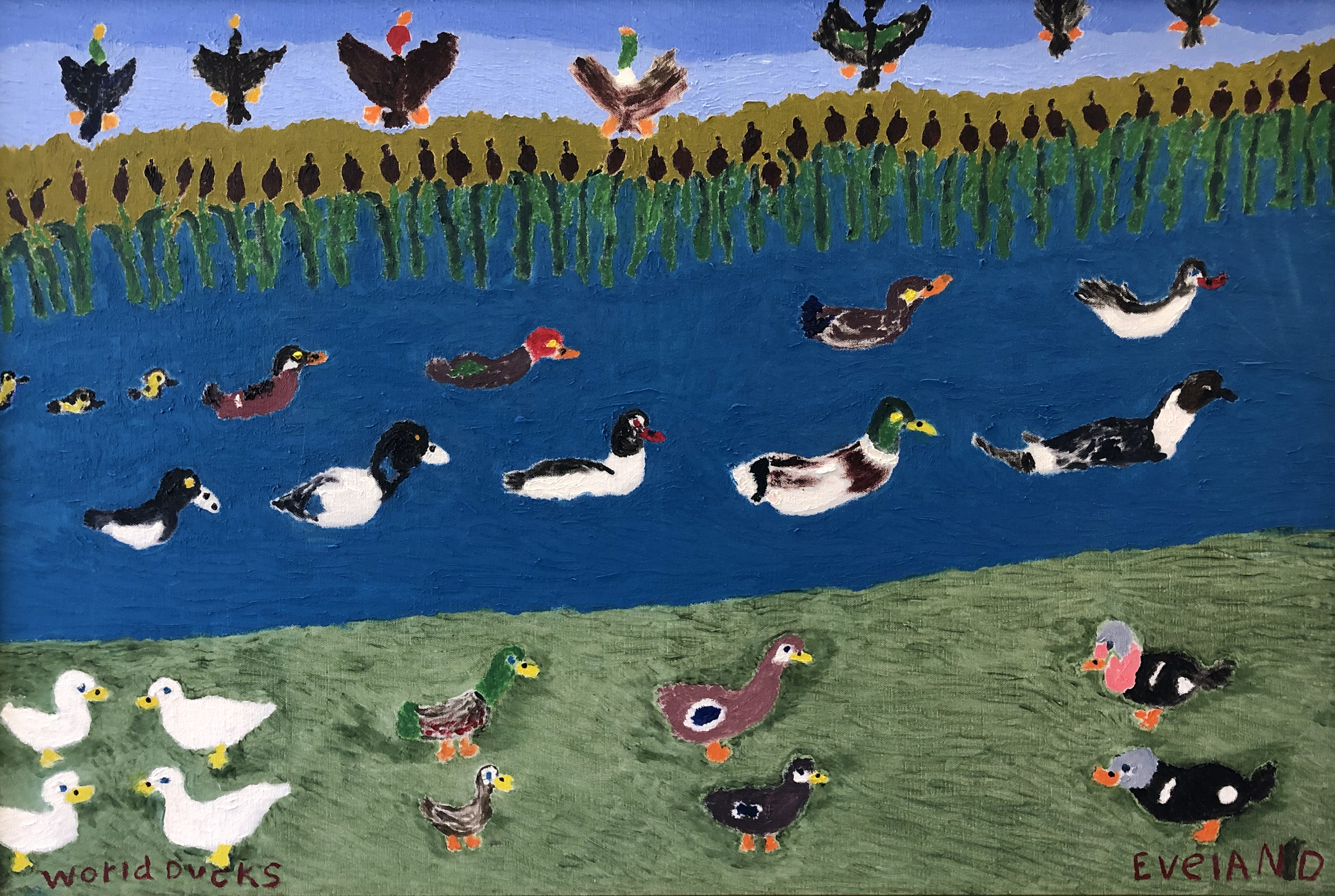 World Ducks by Mary Sophia Eveland