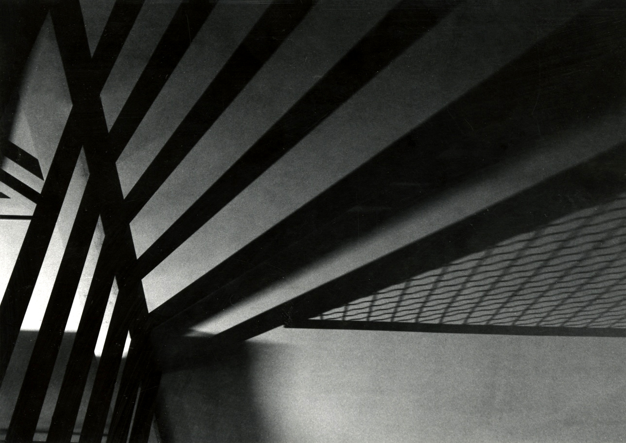 Black and white photo of a row of bars casting shadows against a wall. 